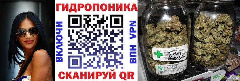 Каннабис Amnesia  Купить  Сокол 